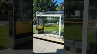 No Canadá algumas paradas de ônibus tem teto solar.