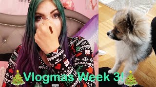 Vlogmas Week 3 Dog Sitting, And So Much More 2018! This Week Was A Lot!!! | Makayla Wetmore