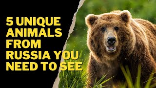 5 UNIQUE ANIMALS FROM RUSSIA YOU NEED TO SEE