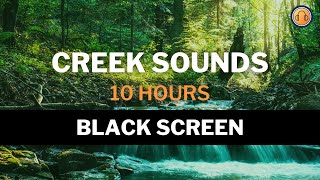 Forest Creek Sounds for Sleeping with Black Screen • 10 hours