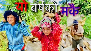 मकै भाच्दै हिजोआज गाउघरमा रेशम आले मगर nepali village life nepalivlog food nepal muna ale magar