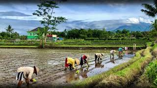 SULING SUNDA PALING MERDU