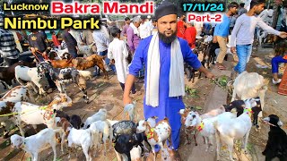 आज की मंडी का रेट|Nimbu Park Bakra mandi 17/11/24(Part-2)Lucknow |बेहतरीन बरबरी बकरिया सस्ते रेट मे