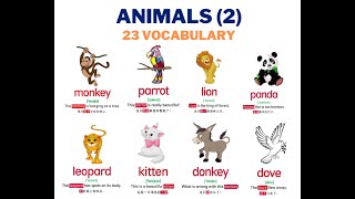 Animal Vocabulary English (Part 2) 🐒🐑🕊️ Learn English for Kids 关于动物的英语单词 | Simple & Easy English