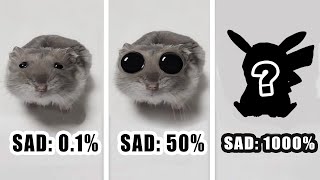 Sad Hamster Becomes More Sad