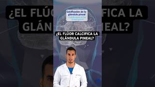 ¿El FLÚOR calcifica la GLÁNDULA PINEAL?