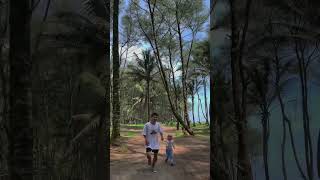 Pantai cemara sewu petanahan #cemarasewu #pantaiselatan #health #video #shorts #shortvideo