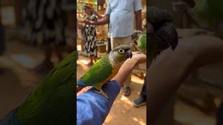 #ashortaday #viral #trendingshorts #ytshorts #family #fun #vacation #bengaluru #animals #prani