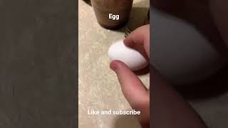 Egg