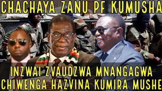 🟨Inzwai Zvaudzwa Mnangagwa Chiwenga Hazvina Kumira mushe 🇿🇼