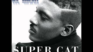 D J JASON super cat don mix vol 1