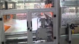 Productive Systems   Fully Automatic Bagging Machine