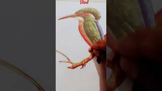 bird in sketch pens # subscribe # like # trending sorts # wiral sorts