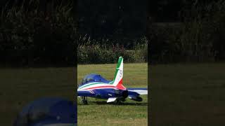 RC Jet Model Gears Up for Takeoff on Grass Runway | Aermacchi MB-339 | #short #shorts