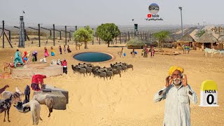 Great Desert Village Life Pakistan near Border || Ancient culture | Village Food Tharpakar village