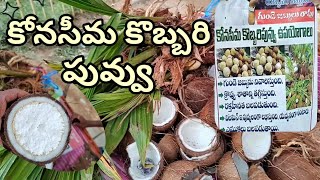 పోషకాల ఘని కొబ్బరి పువ్వు | కోనసీమ కొబ్బరిపువ్వు | Coconut Apple | Coconut Flower |