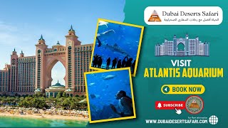 Experience Ocean Life At The Dubai Atlantis Aquarium | Dubai Deserts safari