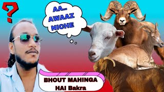 Double rate me Bakra liye🥹 ll Bakra laye Abba aur mai / bakra mandi ll #bakra #bakraeid #bakramandi