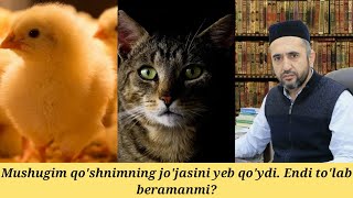 Mushugim qo'shnimning jo'jasini yeb qo'ydi. To'lab beramanmi? | Muhammad Ayyub domla