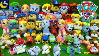 Huge Paw Patrol Plush Toys Collection Surprise Blind Bags Toy Videos for Kids TY Beanie Boos Toys