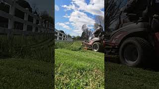 TALL grass Mowing | Spring time #mowing #satisfying #fypシ #tall #grass #shortsfeed