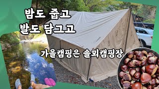 가을인데 너무 더웠던 캠핑 완주 솔뫼캠핑장 2단지 밤도 줍고