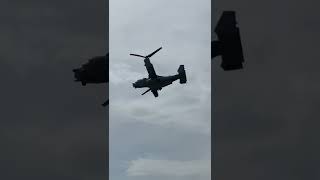 Osprey riat 2022