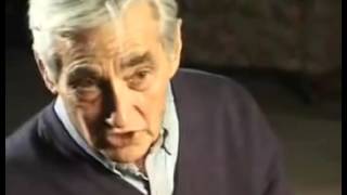 Rat nije u ljudskoj prirodi  - Howard Zinn