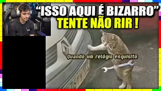 CORINGA REAGINDO AO COMPILADO DE MEMES SHITPOST (by memes do sul 2) #1😂