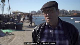 OurBlueLung - Testimony from Ferragudo, Portugal - Fisheries (FR version)