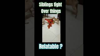 Siblings things #siblings #siblinggoals #fighting #love #funny #shorts