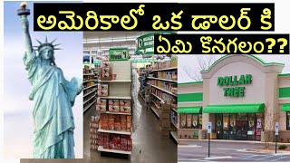 DOLLAR TREE in USA||One Dollar Shop In Usa|| Dollar store in America || Telugu Vlogs from USA