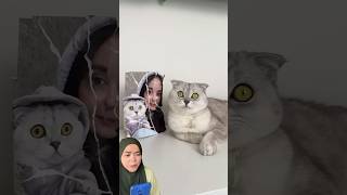 😱Asli kucingnya cemburuan gtu..‼️ #cat #funny #comedy #shortsfeed #reaction #viral