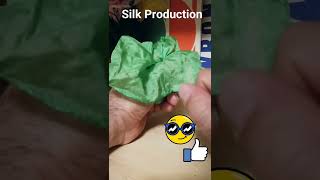 Silk Production -Magic Trick