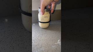 Sourdough Starter Day 7! Follow my TikTok #sourdough #sourdoughstarter #sourdoughbread #starter