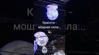 Красота  - мощная сила ... #лес #тропа #дом