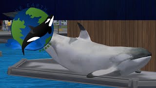 Clarity's Bows Training -Blue Earth : Vallejo- (Zoo tycoon 2)