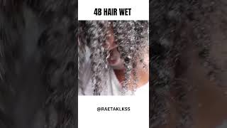 4B HAIR WET #youtubeshorts #naturalhair #naturalhaircommunity