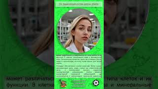 03  Химический состав клетки  Shorts  Girl chemist #посмотри_перед_уроком #кратко #биология