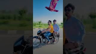 Kar wala Dar Gaya #kabutar #video #love #kabutar #best #birds