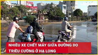 Nhiều xe chết máy giữa đường do triều cường ở Hạ Long| Báo Lao Động