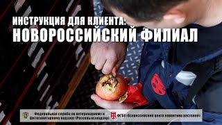 Новороссийский филиал ФГБУ "ВНИИКР". Инструкция для клиента