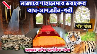 অবিশ্বাস্য নাকি সত্যি সিলেটে এ মাজারে বাঘ'সাপ জ্বীন'পরি আসে। সিলেটের অলৌকিক ঘটনা। Sylhet Mazar Tour