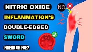 Nitric Oxide and Inflammation A Double-Edged Sword (Friend or Foe?)