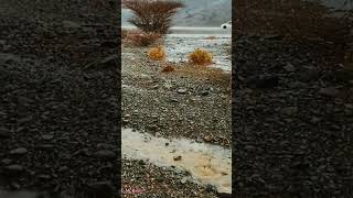 heavy rain in Desert | weather