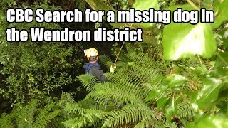 CBC Search for Jaxon