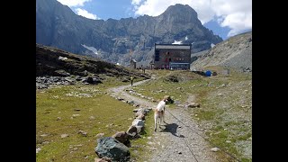 Escursione da Pian della Mussa (Balme) al Rifugio Bartolomeo Gastaldi e Rocca Turo 19_08_2023