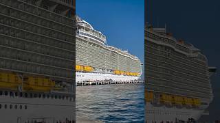 Symphony of the Seas - What a size