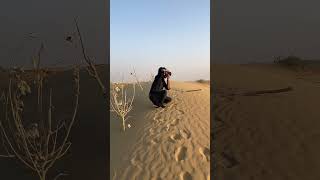 Sunset view at sam desert Jaisalmer. #sunset #photography #desert #short #jaisalmer