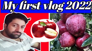 my first vlog 2022